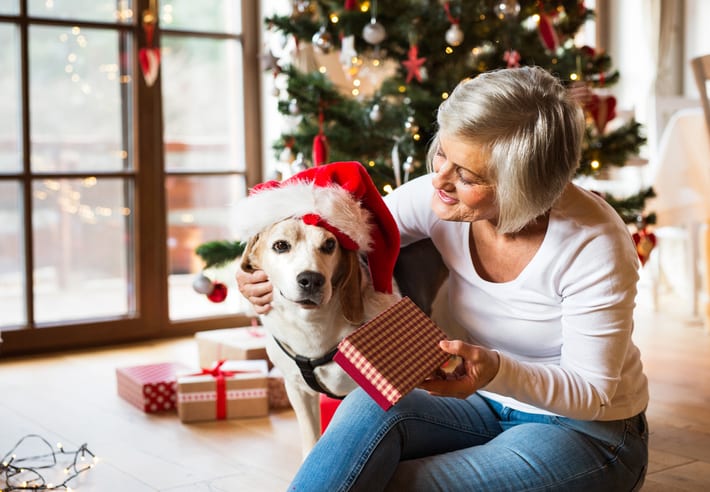 Your Senior Pet’s Christmas Wish List