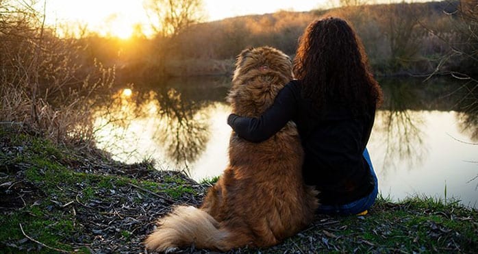 In-Home Pet Euthanasia & Hospice in Denver: Dog and Owner Watching Sunset