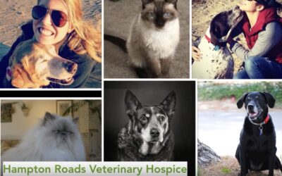 2015 Hampton Roads Veterinary Hospice Memorial Video