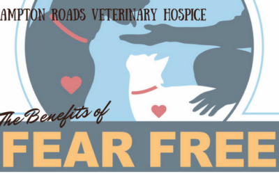 Fear Free Senior Pet Care