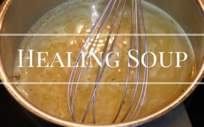 Healing Soup for Pets