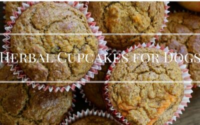 Herbal Cupcakes for Dogs