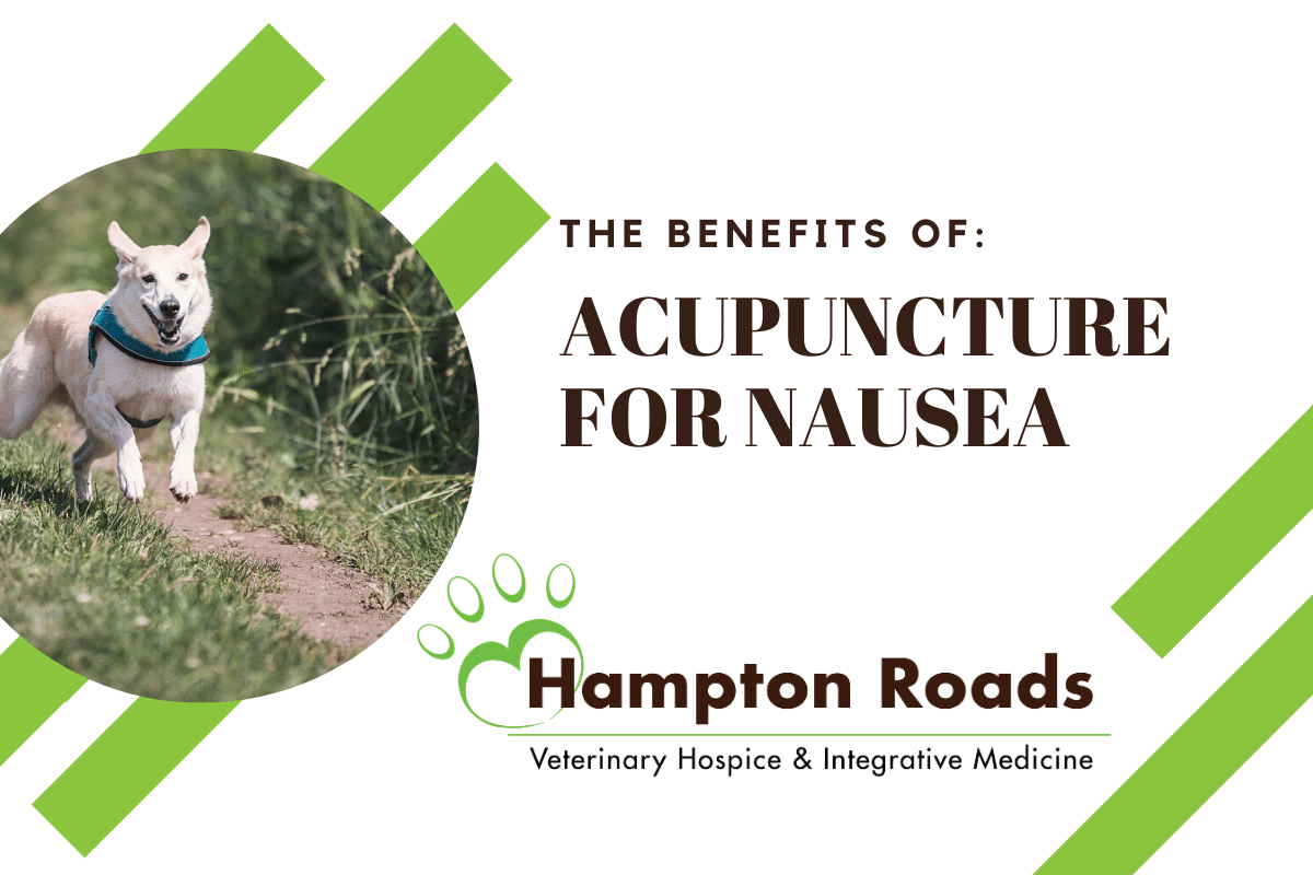 The Benefits of Acupuncture for Nausea Hampton Roads