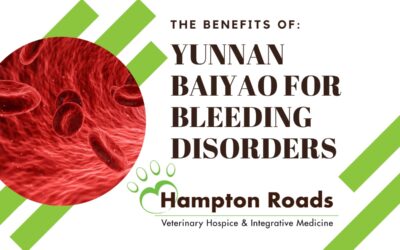 Yunnan Baiyao for bleeding disorders