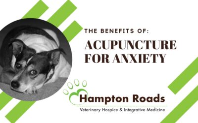 The Benefits of Acupuncture for Anxiety