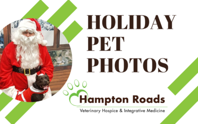 Pet Photos with Santa in Hampton Roads, Virginia