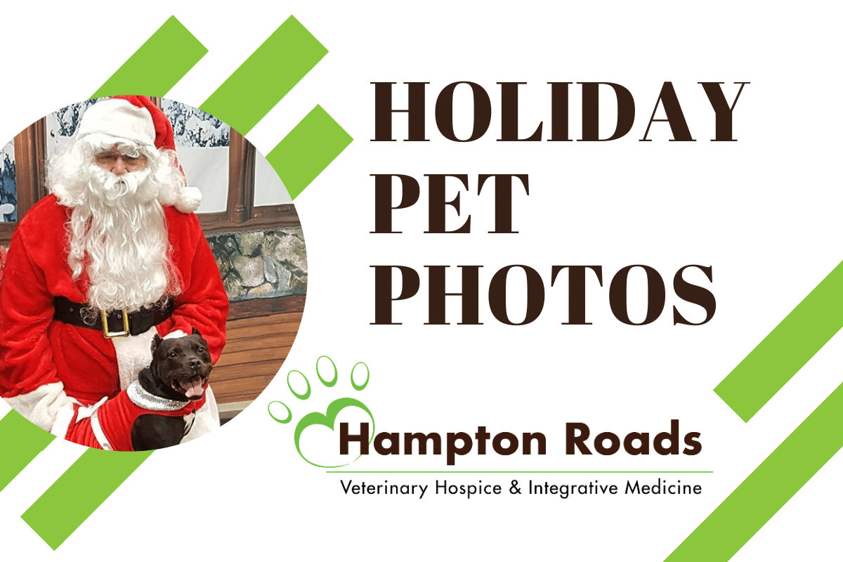 Pet Photos with Santa in Hampton Roads, Virginia