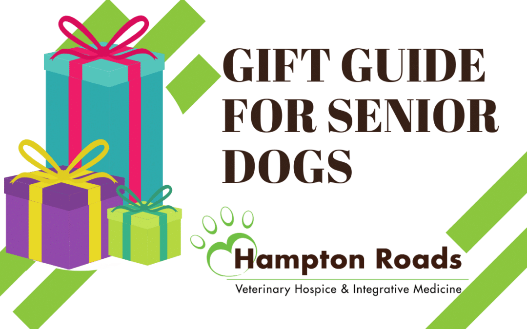 2019 Gift Guide for Senior Dogs Hampton Roads Veterinary Hospice