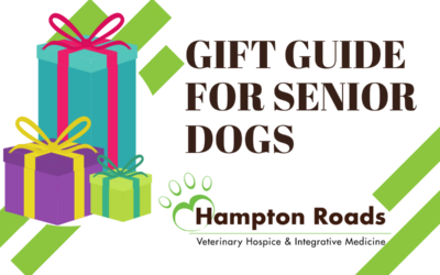 2019 Gift Guide for Senior Dogs