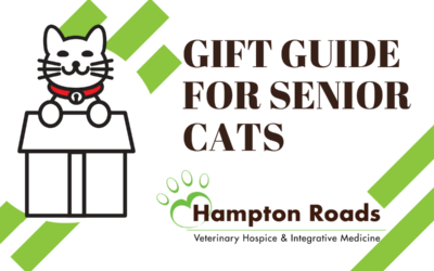 2019 Gift Guide for Senior Cats