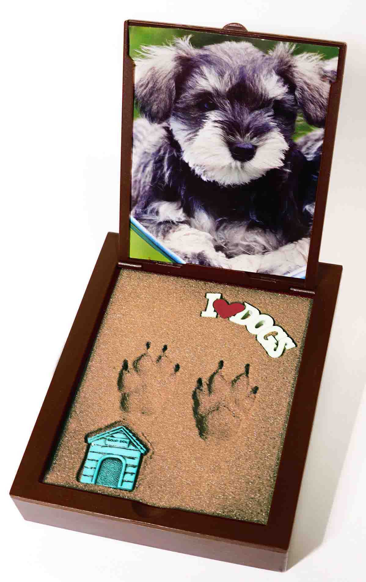 Pawpals Example for a Dog