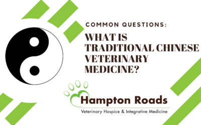 Common Questions: What is Traditional Chinese Veterinary Medicine?