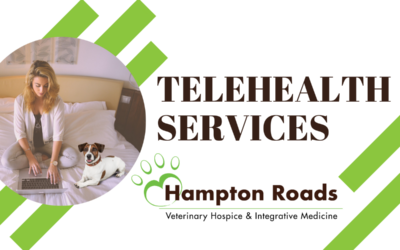 Hampton Roads Veterinary Hospice & Integrative Medicine’s Telehealth Consulting Services