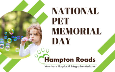 National Pet Memorial Day
