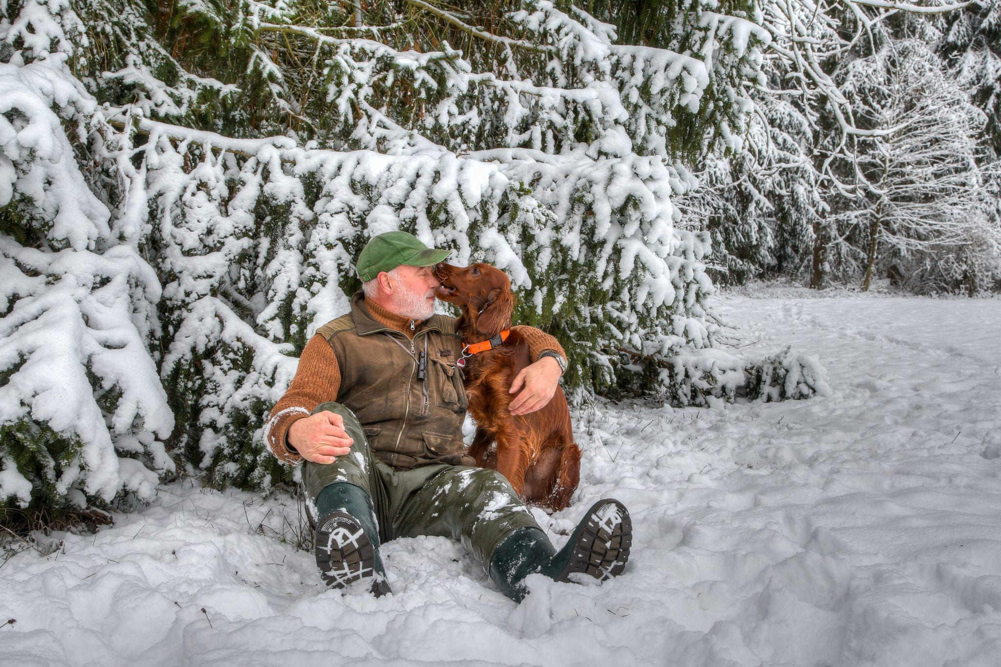 Close friends. In the snowy winter forest an elderly hunter sits in the snow with his young Irish Setter hunting dog and is tenderly bitten in the nose."r