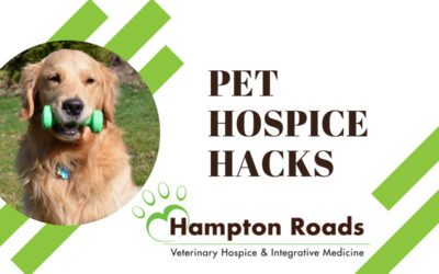 7 Hospice Hacks for Pet Caregivers