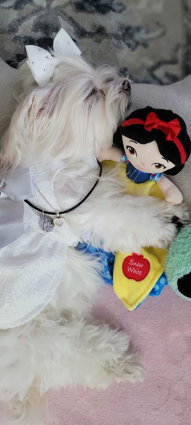 Princess Sophia-01