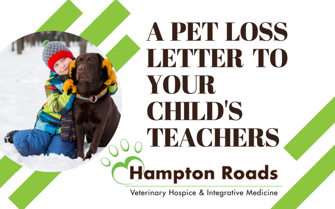 A Pet Loss Letter To Your Child’s Teachers