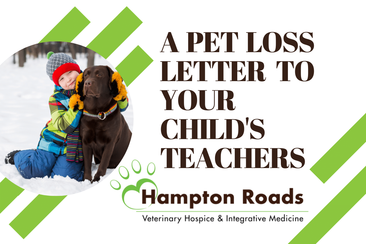 A Pet Loss Letter To Your Child's Teachers - Hampton Roads Veterinary  Hospice