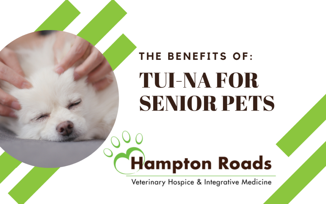 The Benefits of Tui-Na for Senior Pets