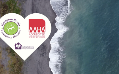 AAHA Accredited End-of-Life Care in Virginia Beach