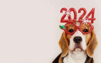 New Year’s Resolutions and Your Pet: Starting the Year on the Right Paw
