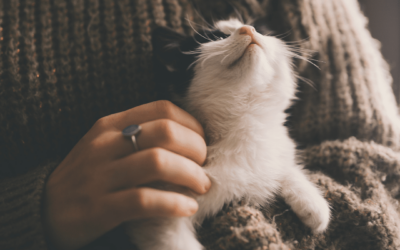 Which of These 5 Love Languages Does Your Pet Speak? How You Can Show Them Love