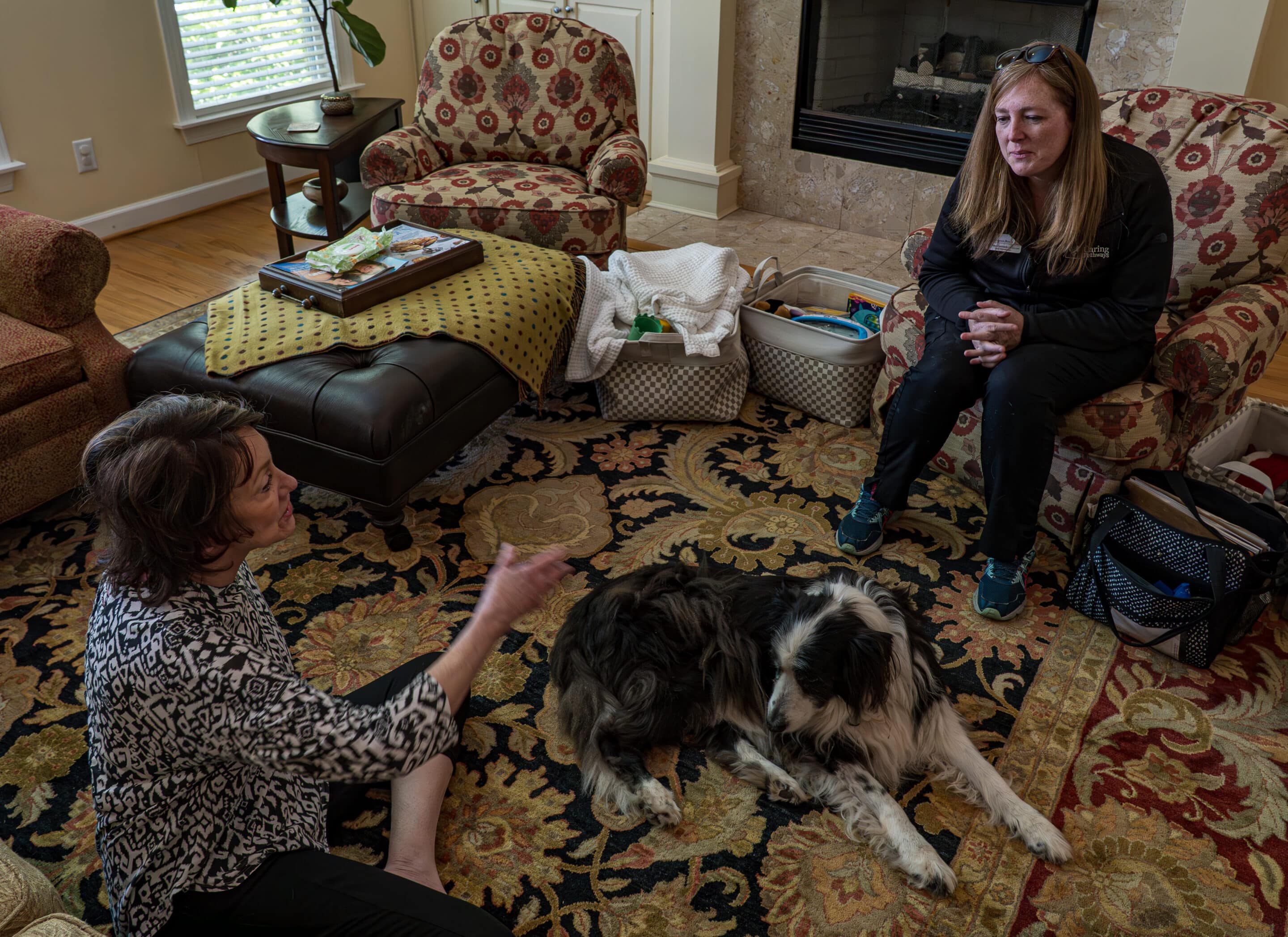 home pet hospice